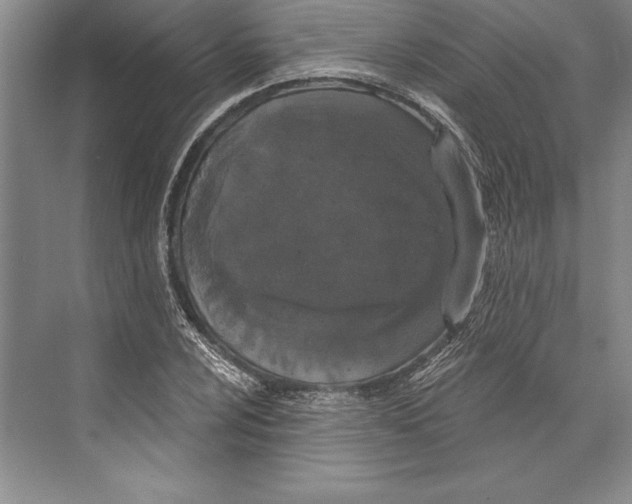 X0000072491024200608111556