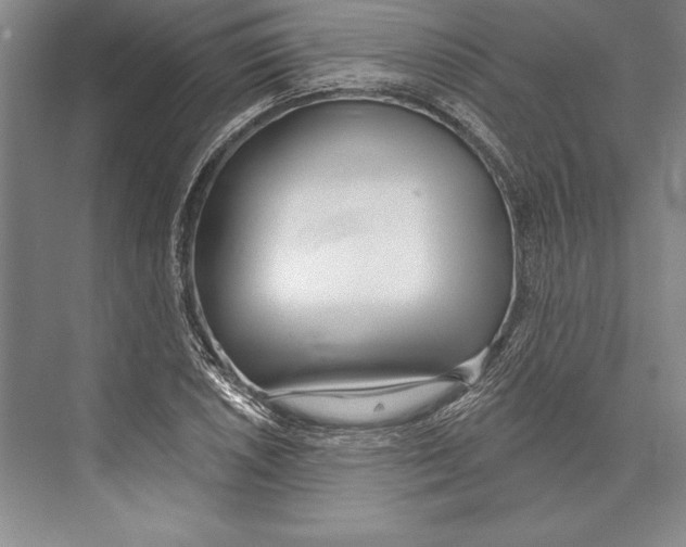 X0000072491026200608111556