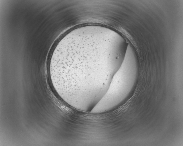 X0000072491028200608111556