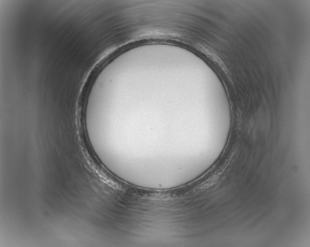 X0000072491029200608111556