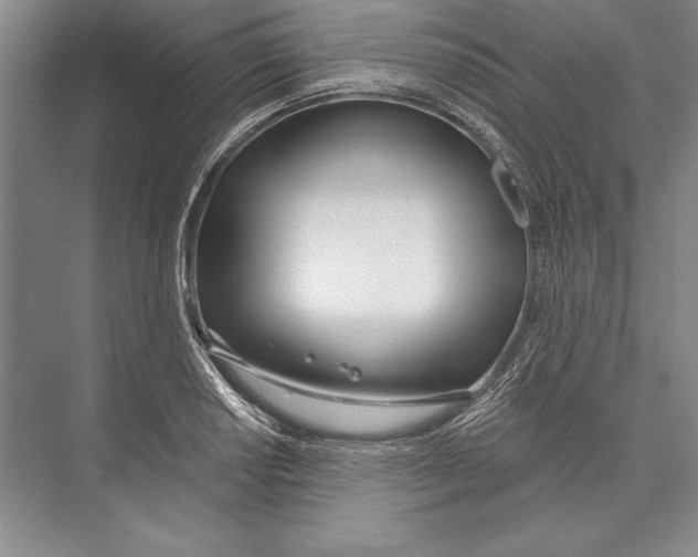 X0000072491034200608111557