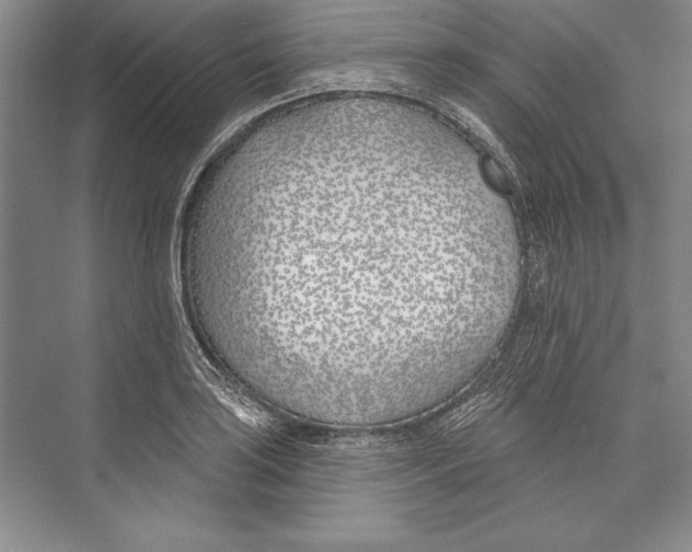 X0000072491035200608111557