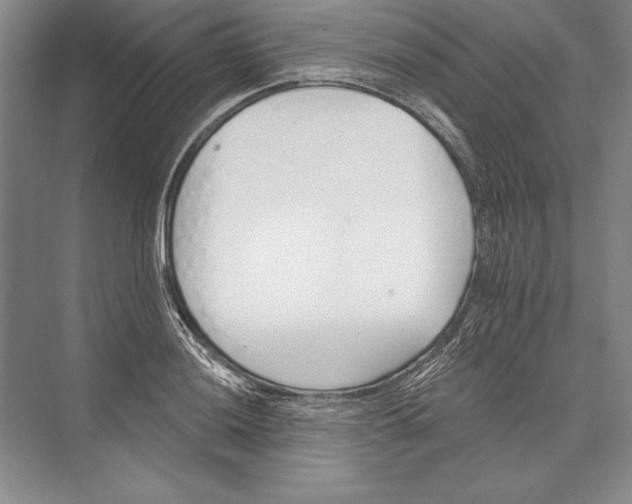 X0000072491036200608111557