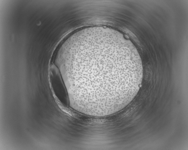 X0000072491039200608111557