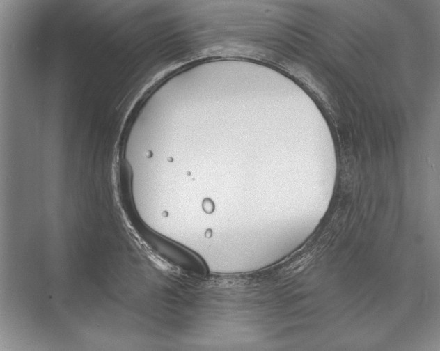 X0000072491040200608111557