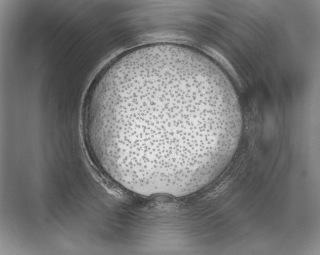 X0000072491043200608111557