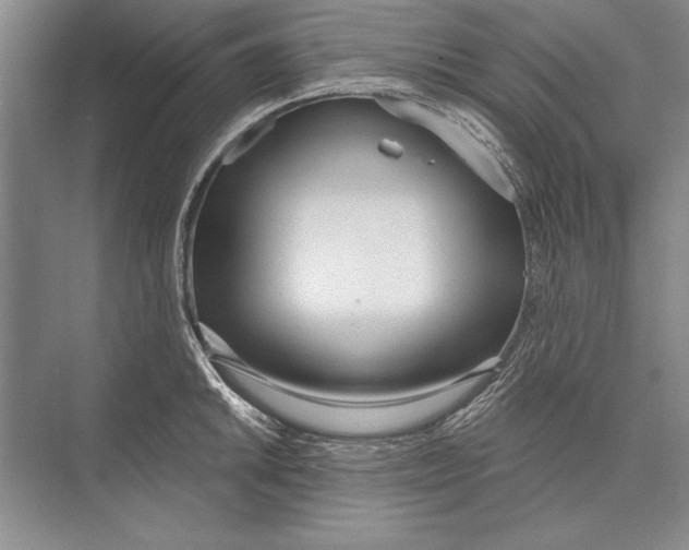 X0000072491046200608111557