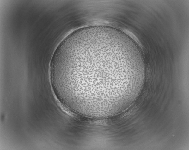 X0000072491047200608111557