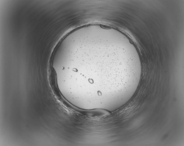 X0000072491048200608111557