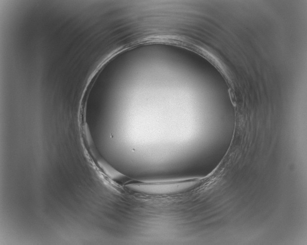 X0000072491050200608111557