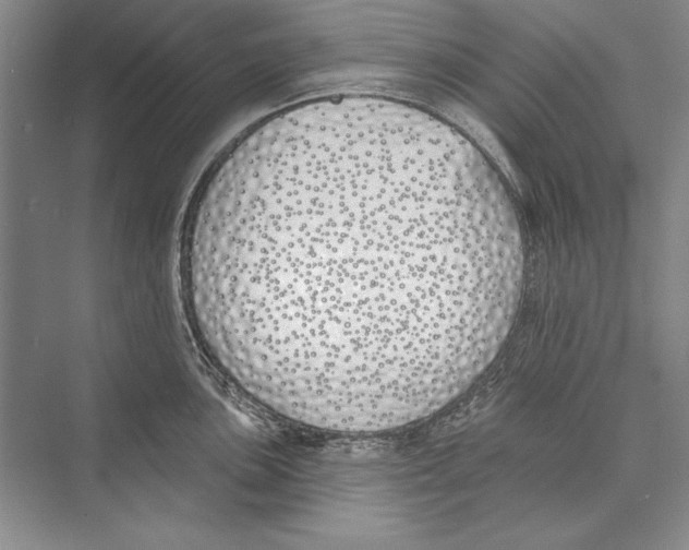 X0000072491051200608111557