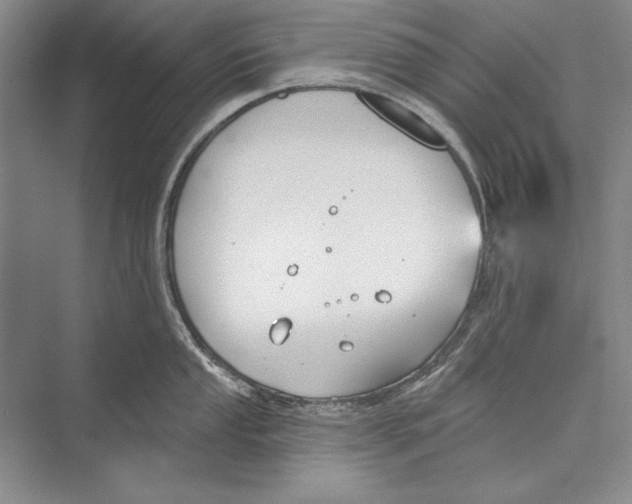 X0000072491053200608111557