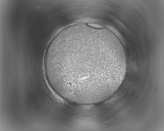 X0000072491055200608111557