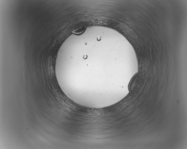 X0000072491058200608111556