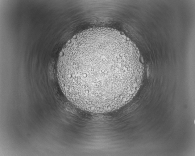 X0000072491059200608111556