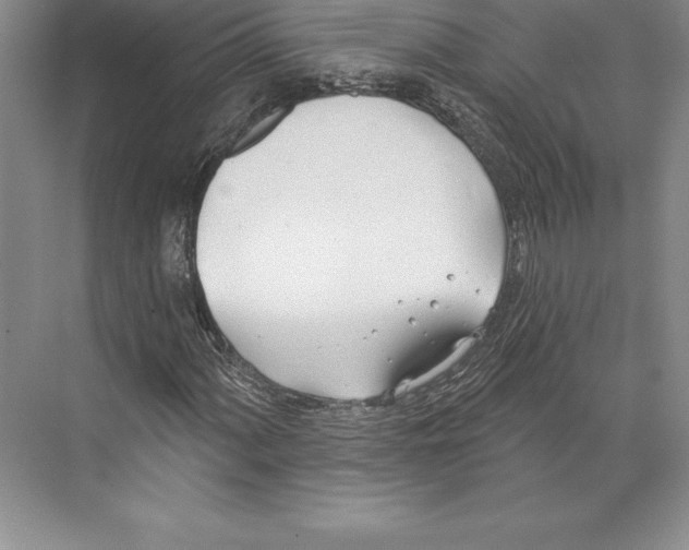 X0000072491060200608111556