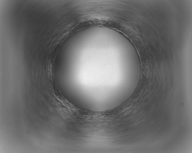 X0000072491061200608111556