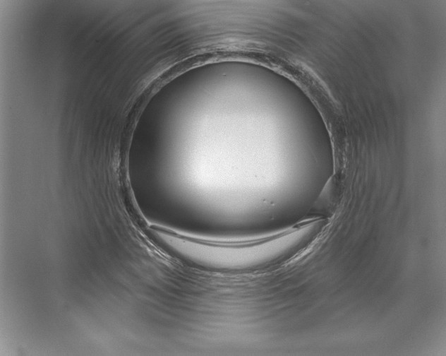 X0000072491065200608111556