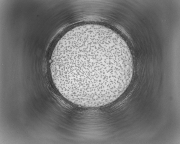 X0000072491067200608111556