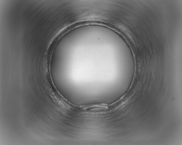 X0000072491069200608111556