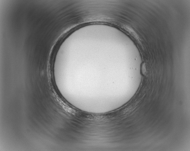 X0000072491072200608111556