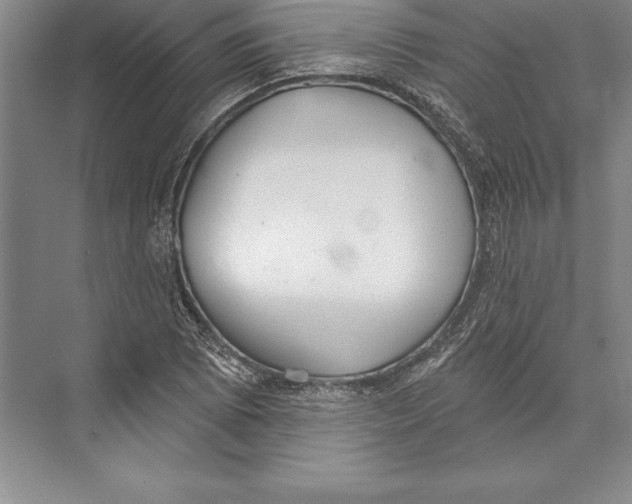 X0000072491073200608111556