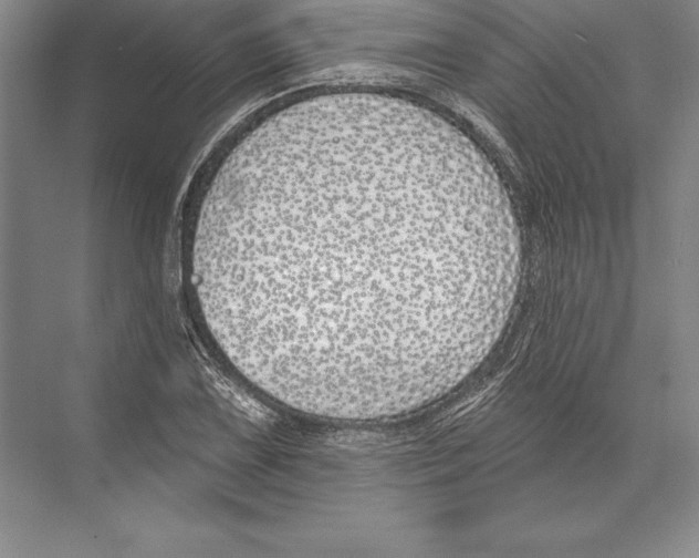 X0000072491075200608111556