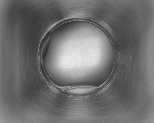 X0000072491077200608111556