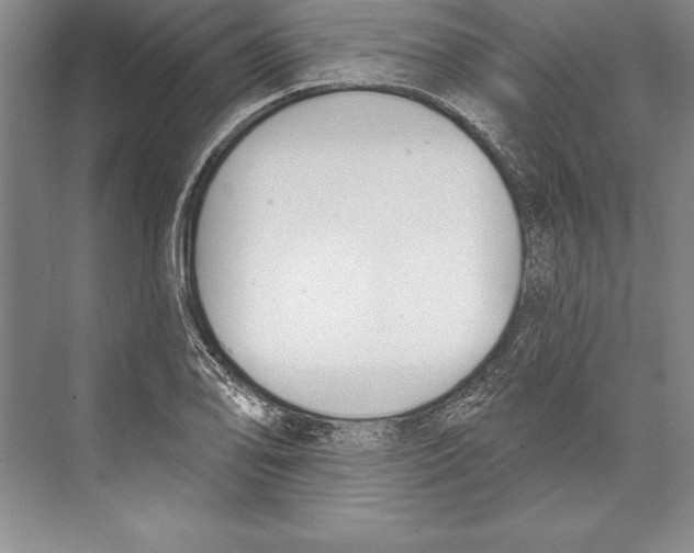 X0000072491078200608111556