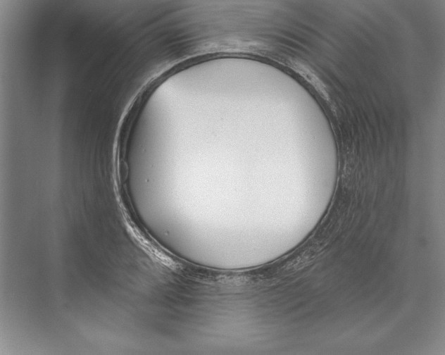 X0000072491080200608111556