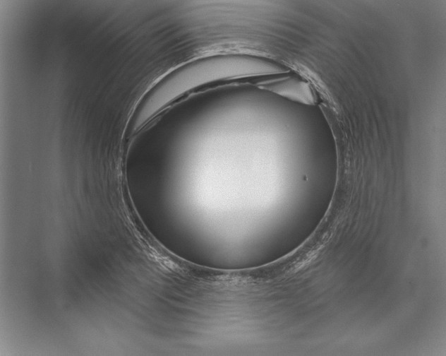 X0000072491081200608111556