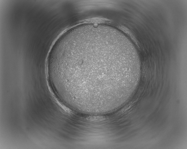 X0000072491083200608111556