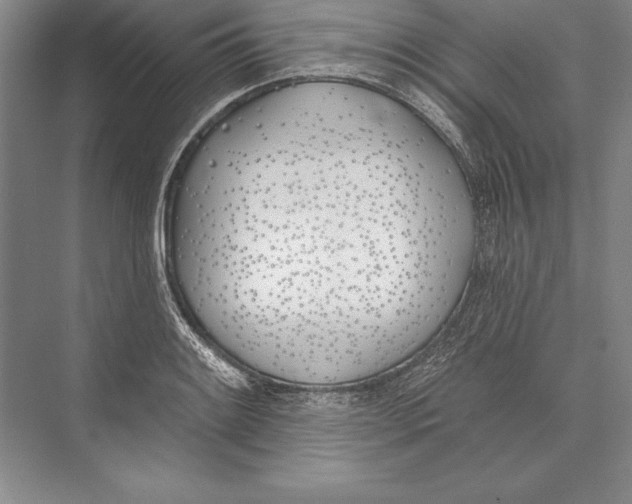 X0000072491084200608111556