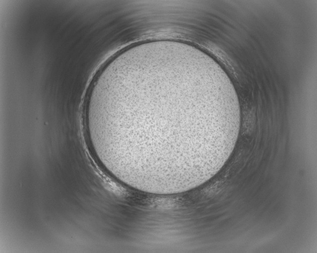 X0000072491086200608111556