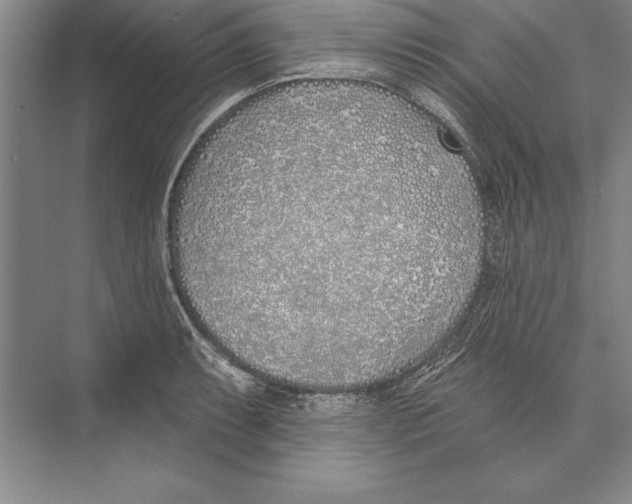 X0000072491087200608111556