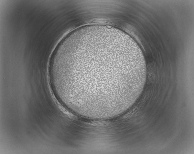 X0000072491091200608111556