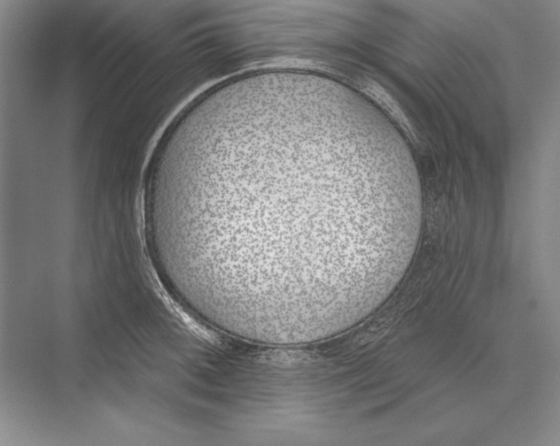 X0000072491092200608111556