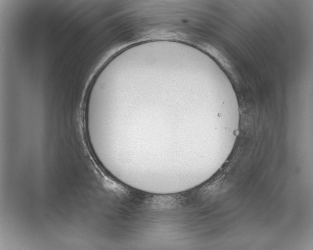 X0000072491094200608111555