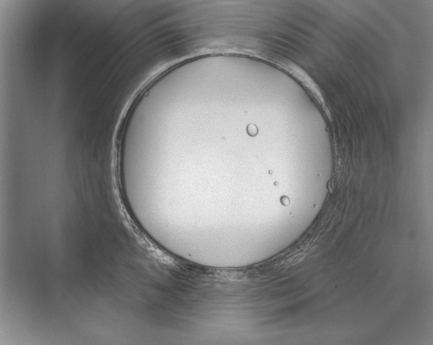 X0000072491096200608111555