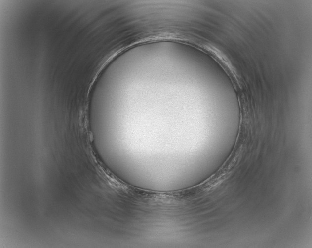 X0000072491097200608111555