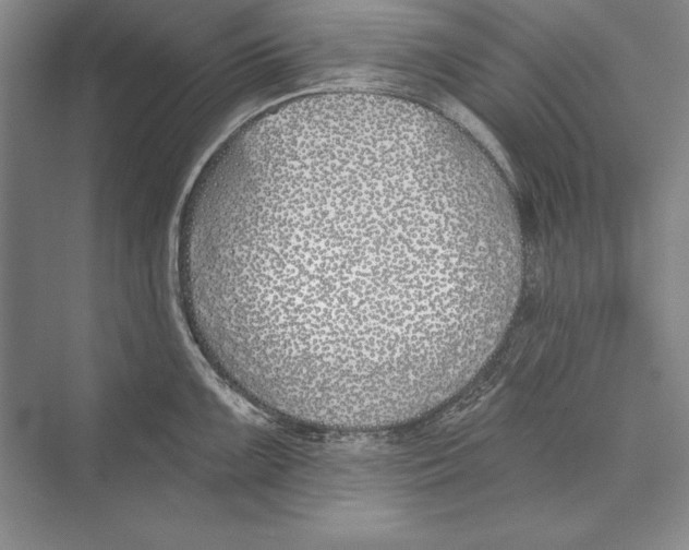 X0000072491099200608111555