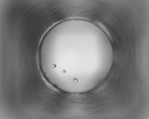 X0000072491100200608111555