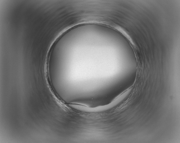 X0000072491101200608111555