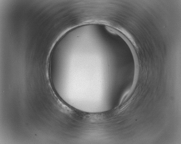 X0000072491102200608111555