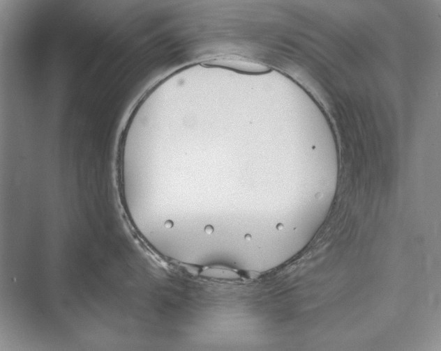 X0000072491104200608111555