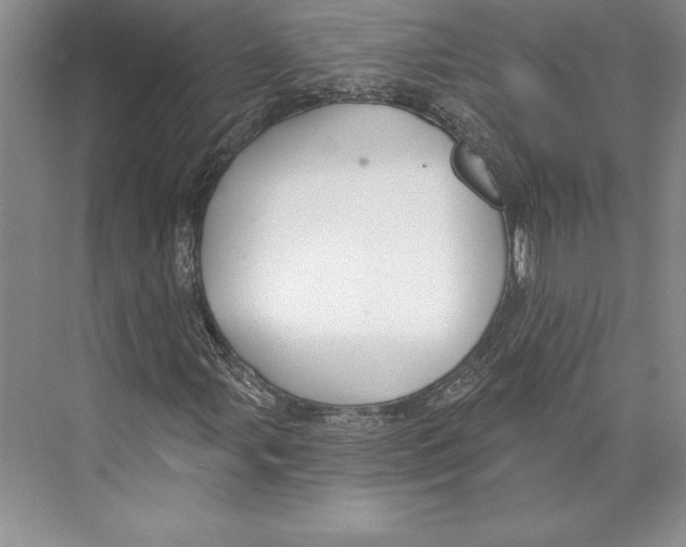 X0000072491107200608111555