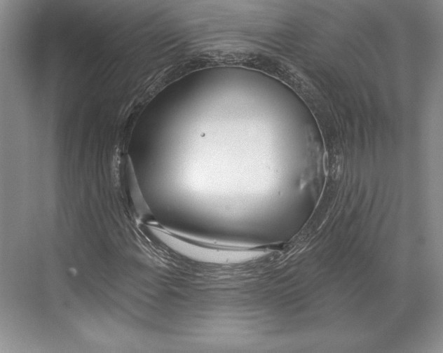 X0000072491108200608111555