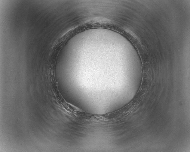 X0000072491112200608111555