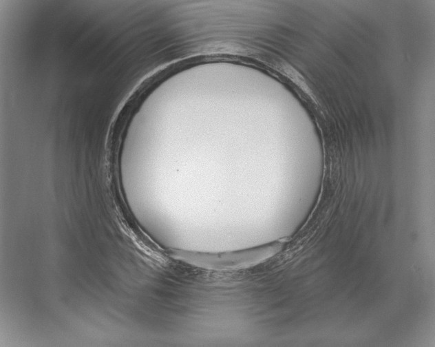 X0000072491116200608111555