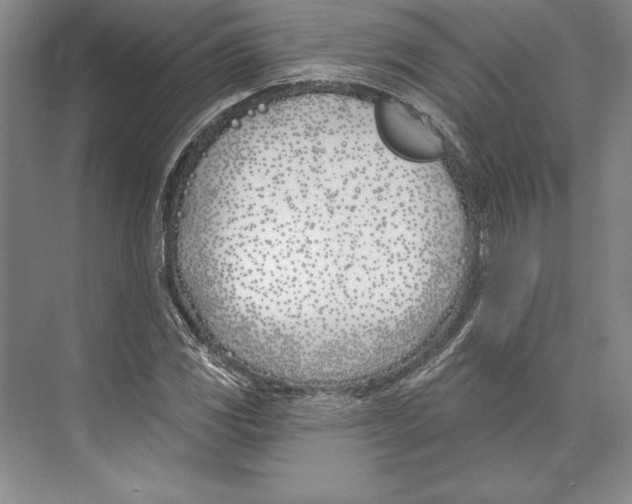 X0000072491117200608111555